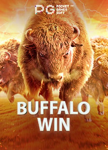 วิธีแทงบอล UFA แบบทดลองเล่น ฉบับง่ายๆ ไม่ซับซ้อน